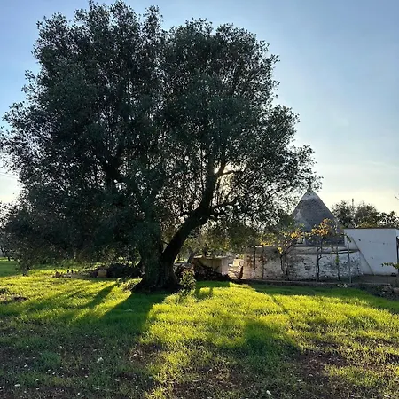 Trullo Jazzo A *