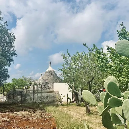 別荘 Trullo Jazzo A オストゥーニ