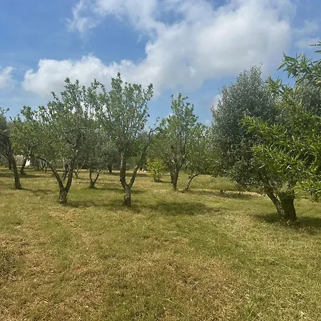 Feriehus Trullo Jazzo A